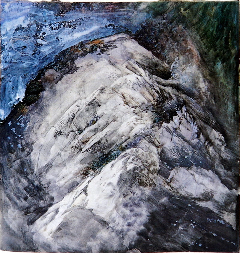Rocce e vegetazione Chamonix, ~ 1854